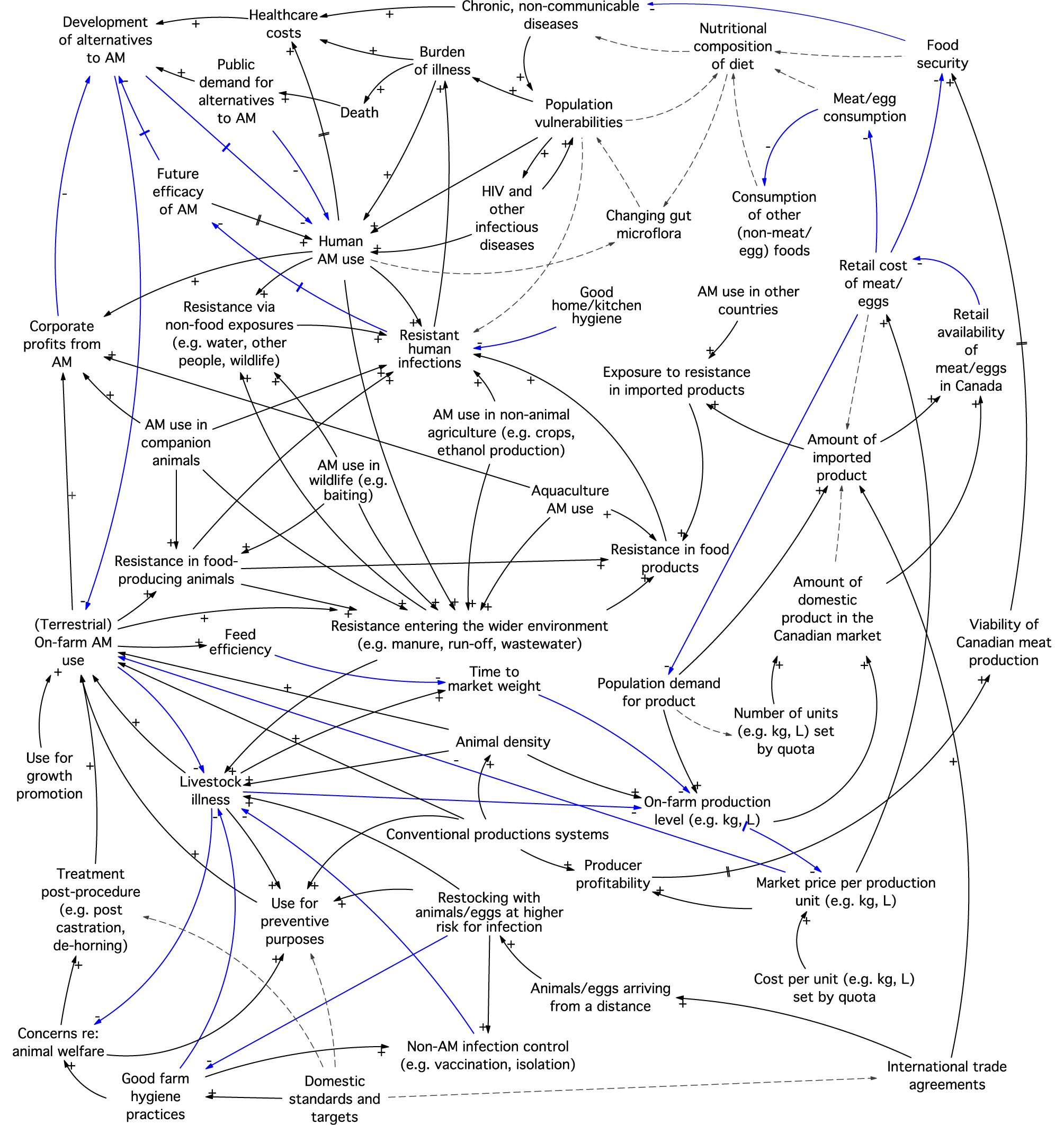 Concept map of the drivers of AMR.